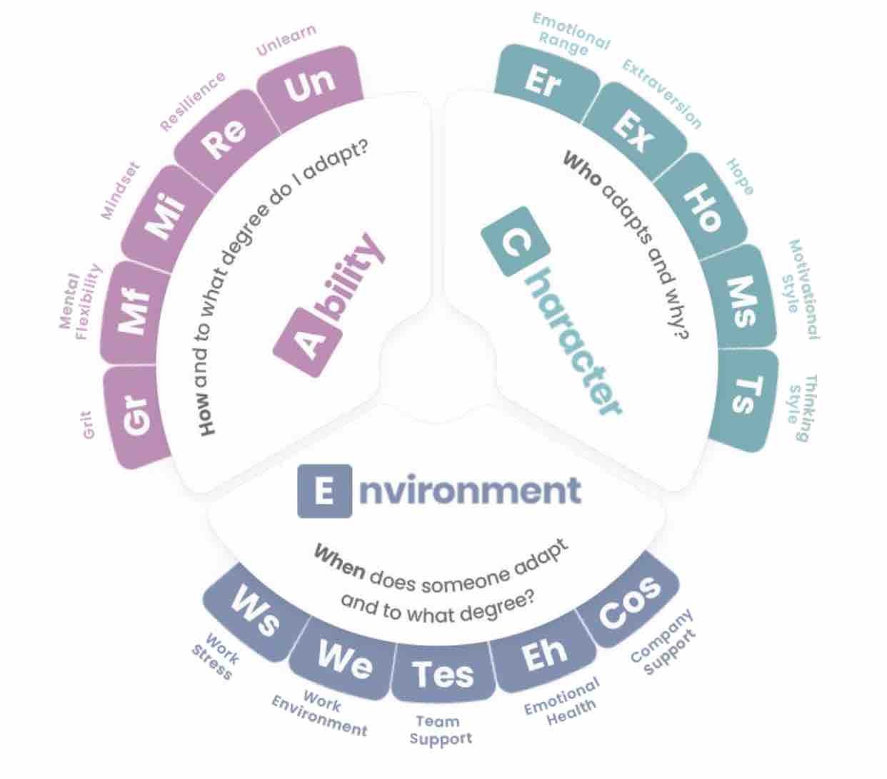 ACE model diagram